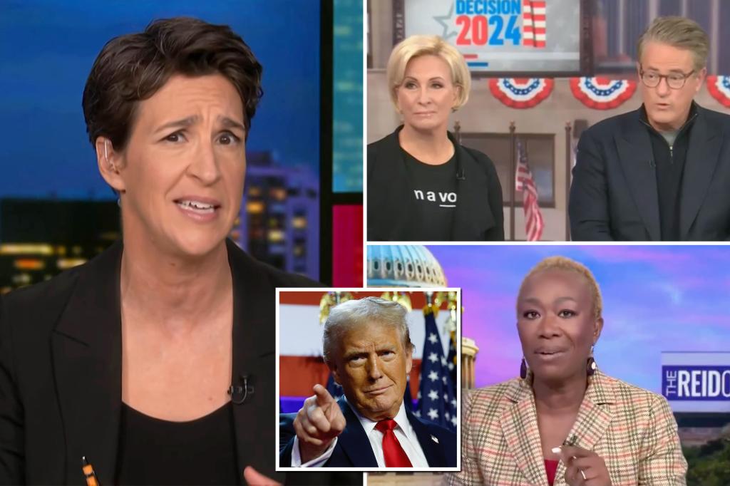 MSNBC sees overall audience nearly halve the day after election, Rachel Maddow loses over 40% of viewers: ratings report